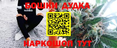 соль ск Сланцы