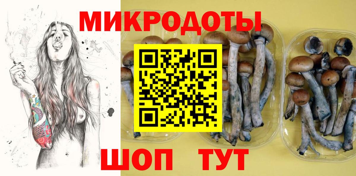 Псилоцибиновые грибы Cubensis  Псилоцибиновые грибы GOLDEN TEACHER  Вход с VPN  цены   Саратов 